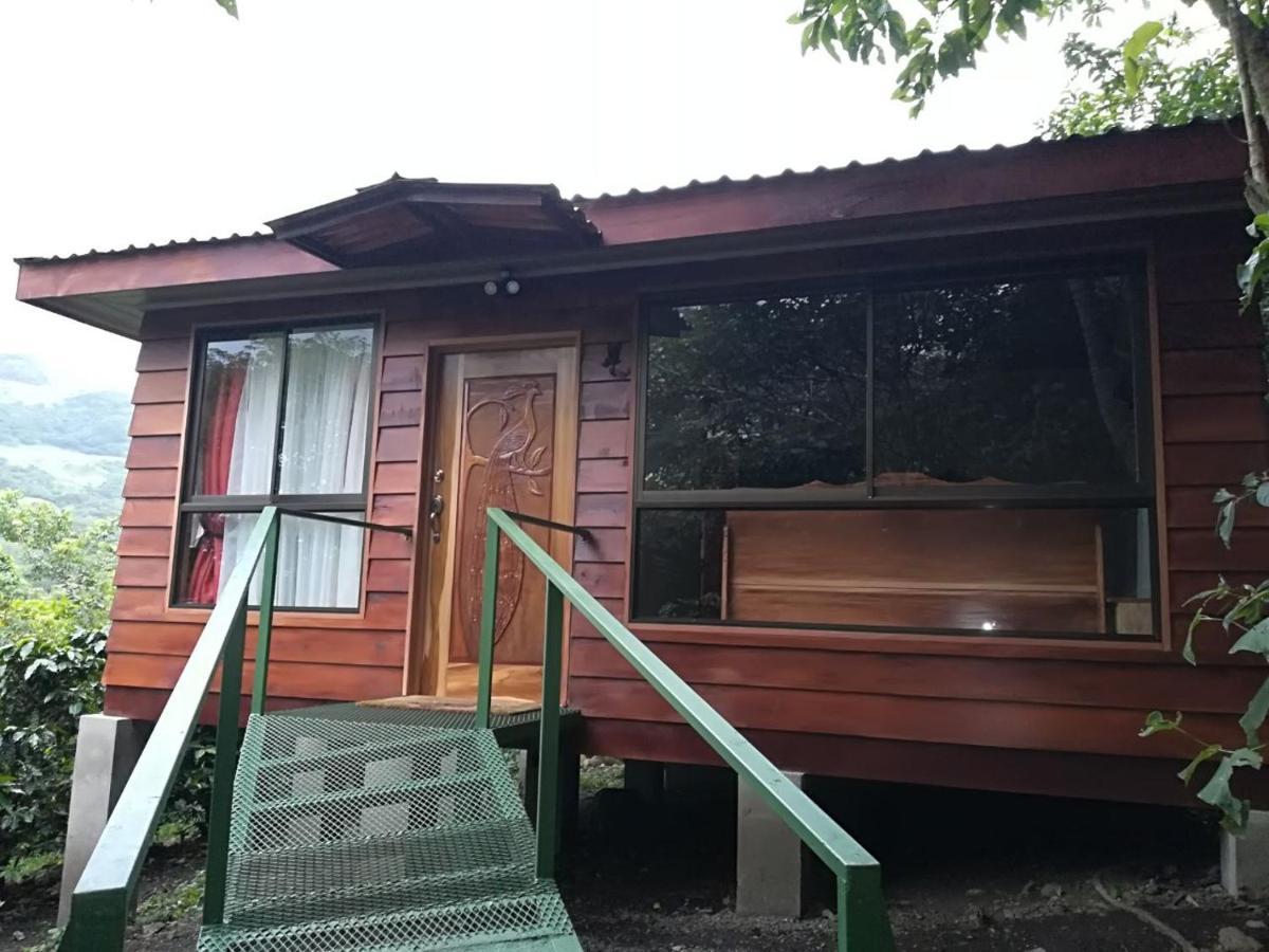 Rancho De Lelo Ecolodge Monteverde Zewnętrze zdjęcie