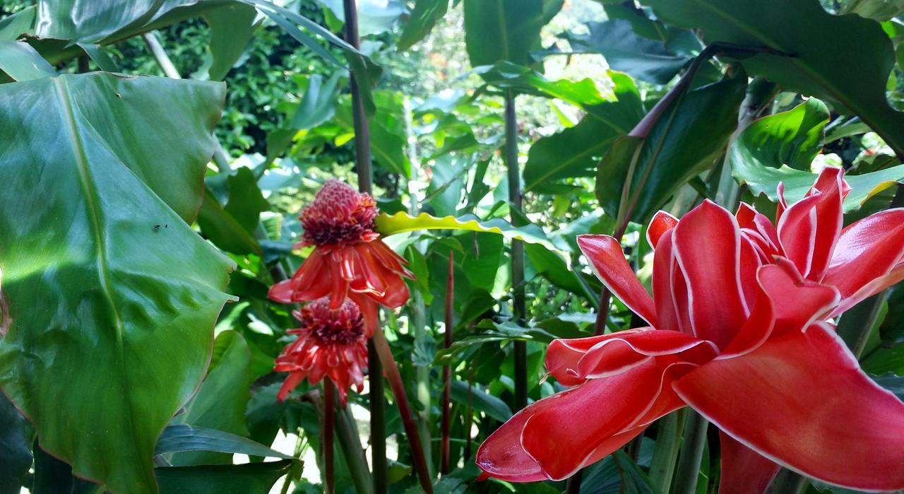 Rancho De Lelo Ecolodge Monteverde Zewnętrze zdjęcie