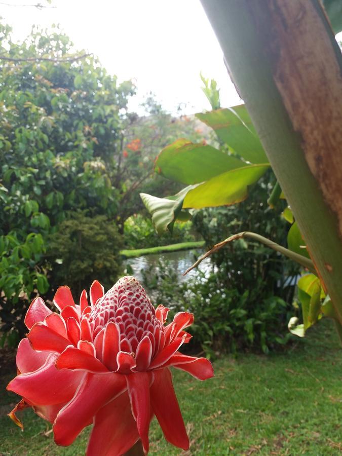 Rancho De Lelo Ecolodge Monteverde Zewnętrze zdjęcie
