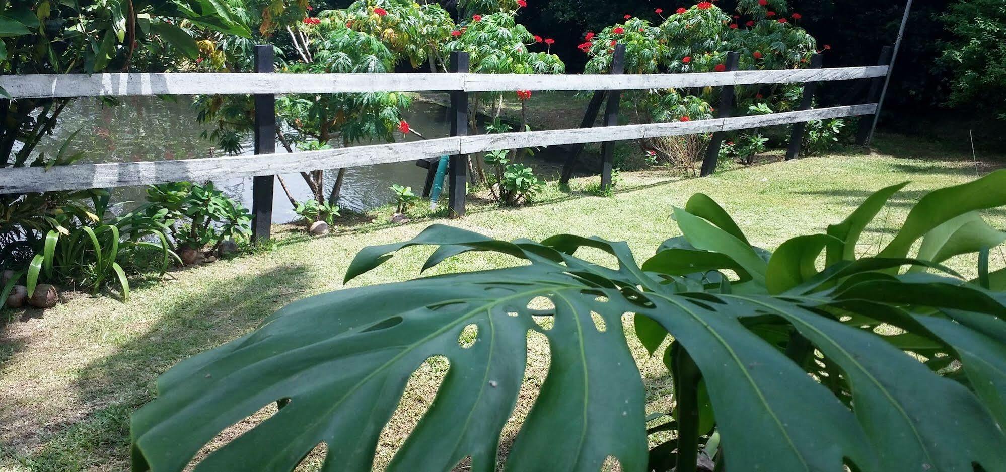 Rancho De Lelo Ecolodge Monteverde Zewnętrze zdjęcie