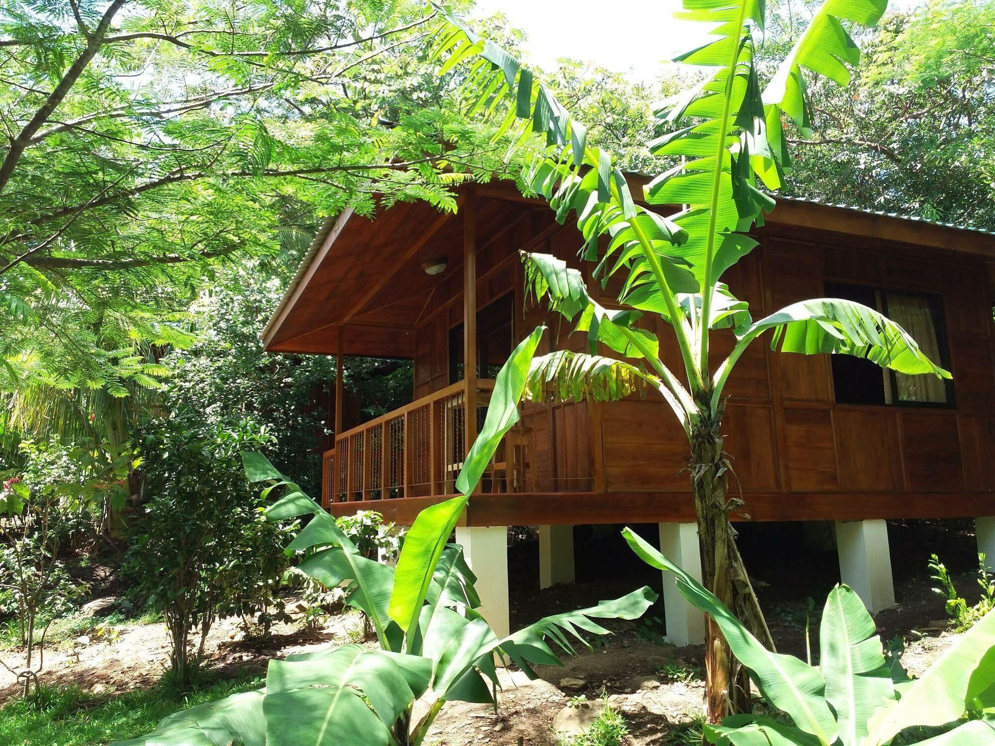 Rancho De Lelo Ecolodge Monteverde Zewnętrze zdjęcie