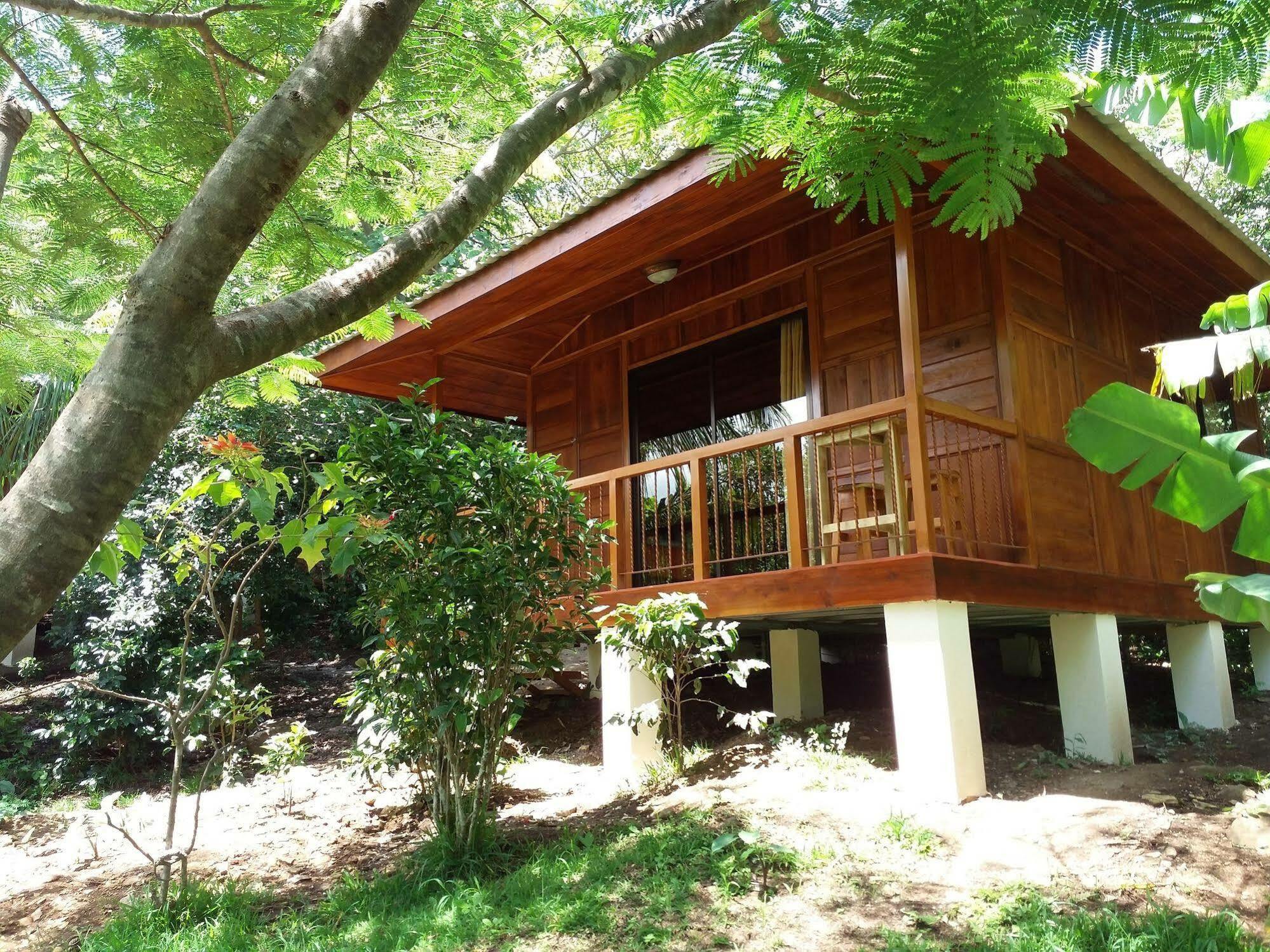 Rancho De Lelo Ecolodge Monteverde Zewnętrze zdjęcie