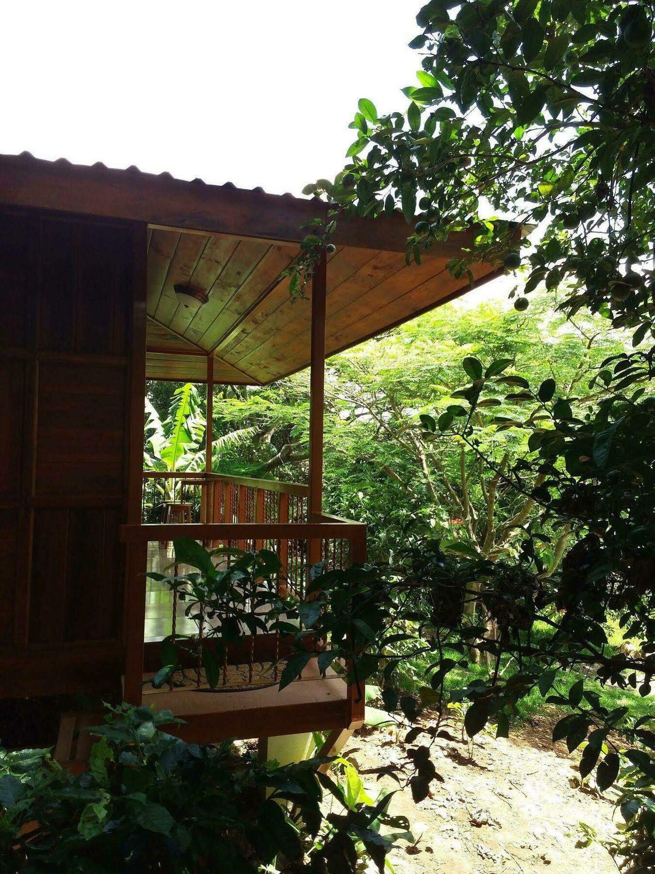 Rancho De Lelo Ecolodge Monteverde Zewnętrze zdjęcie