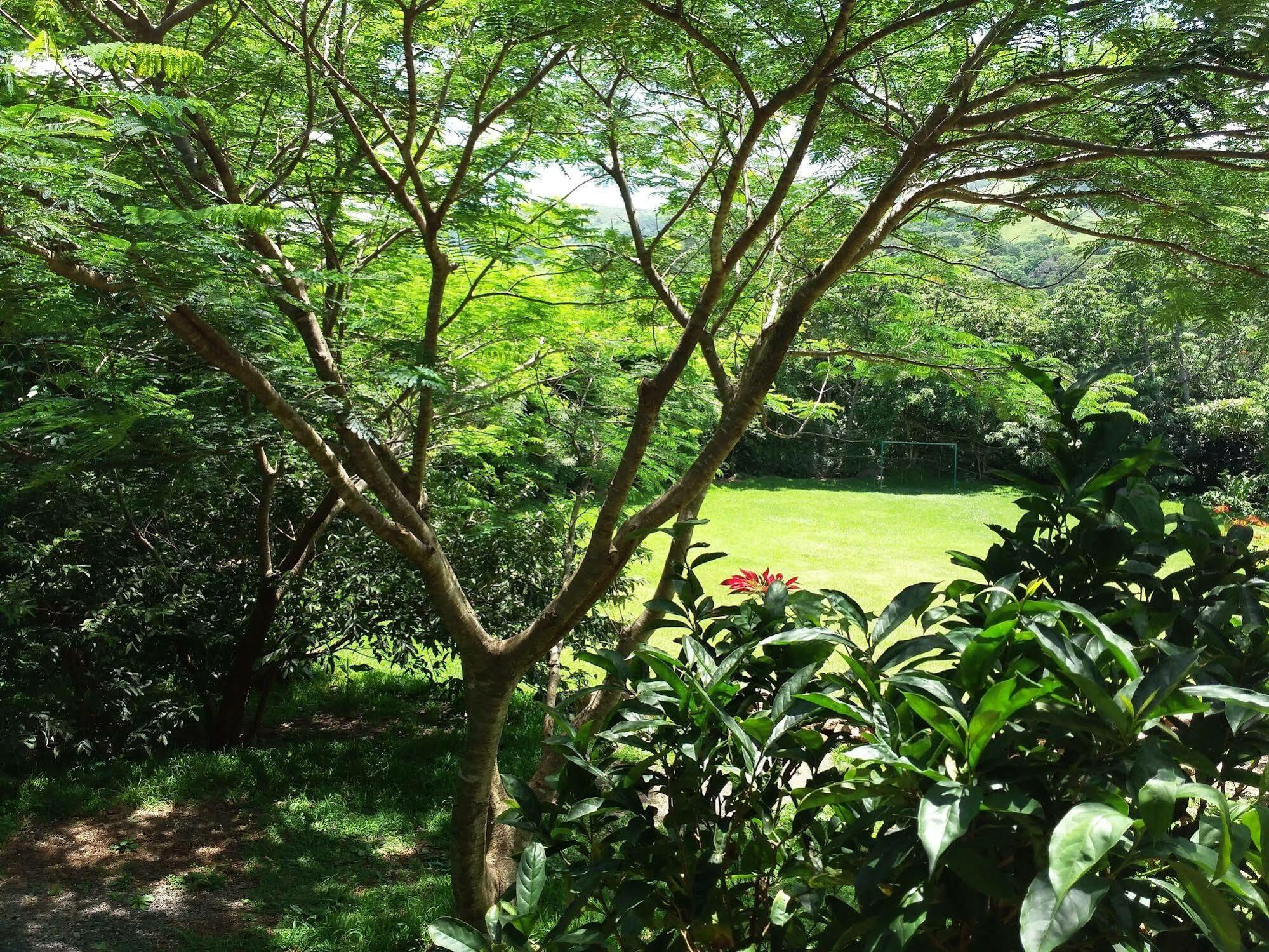 Rancho De Lelo Ecolodge Monteverde Zewnętrze zdjęcie