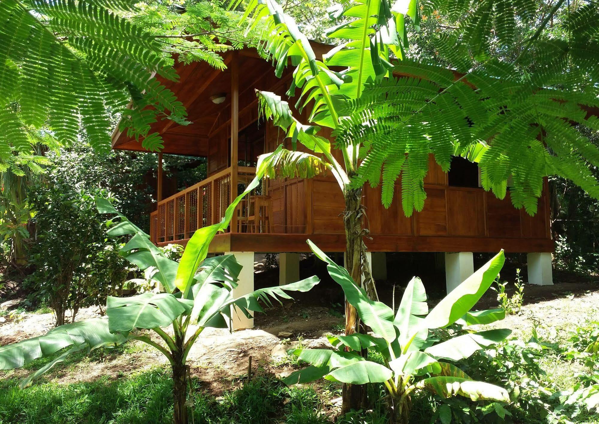 Rancho De Lelo Ecolodge Monteverde Zewnętrze zdjęcie